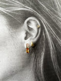 Aurelia Hoops