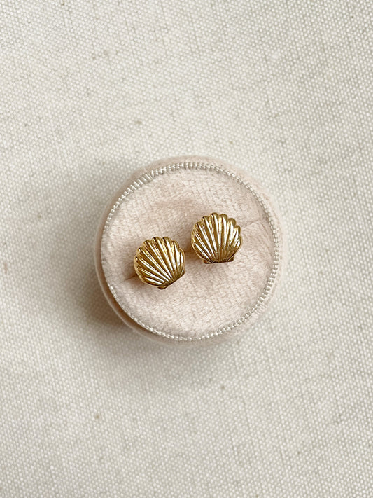 SEASHELL STUDS