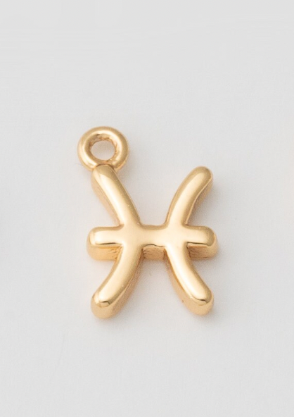 TINY ZODIAC SIGN CHARM