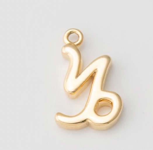 TINY ZODIAC SIGN CHARM