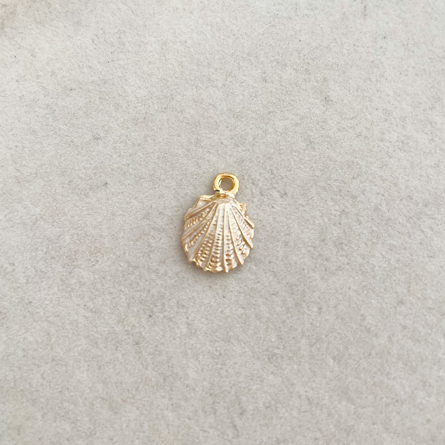 ENAMEL SEASHELL