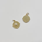 STAR COMPASS COIN CHARM